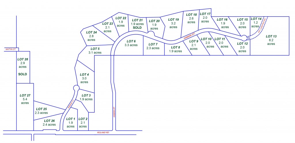 Koponen Homestead lots layout